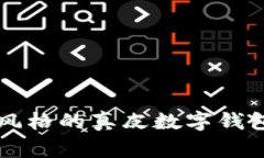 可爱卡通风格的真皮数字