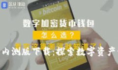 imToken国际版内测版下载：